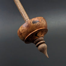 Load image into Gallery viewer, Tibetan style spindle in amboyna burl and walnut
