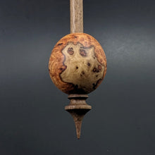 Load image into Gallery viewer, Egg bead spindle in amboyna burl and walnut