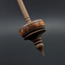 Load image into Gallery viewer, Tibetan style spindle in amboyna burl and walnut