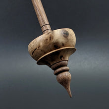 Load image into Gallery viewer, Tibetan style spindle in elm burl and walnut