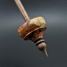 Load image into Gallery viewer, Tibetan style spindle in amboyna burl and walnut