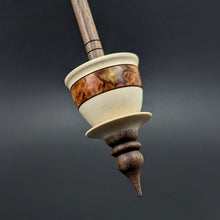 Load image into Gallery viewer, Teacup spindle in holly, amboyna burl, and walnut