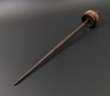 Load image into Gallery viewer, Cauldron spindle in amboyna burl and walnut
