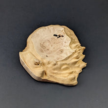 Load image into Gallery viewer, Spinning bowl in box elder burl