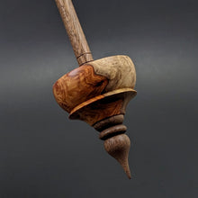 Load image into Gallery viewer, Tibetan style spindle in amboyna burl and walnut