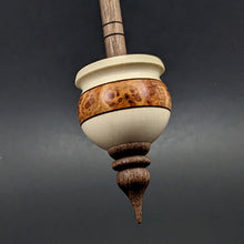Load image into Gallery viewer, Cauldron spindle in holly, amboyna burl, and walnut