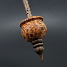 Load image into Gallery viewer, Cauldron spindle in amboyna burl and walnut