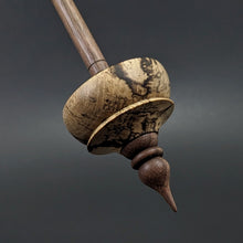 Load image into Gallery viewer, Tibetan style spindle in spalted maple and walnut