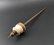 Load image into Gallery viewer, Teacup spindle in holly, amboyna burl, and walnut