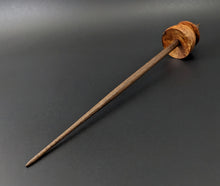 Load image into Gallery viewer, Teacup spindle in amboyna burl and walnut