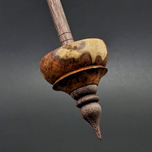 Load image into Gallery viewer, Tibetan style spindle in amboyna burl and walnut