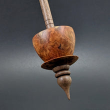Load image into Gallery viewer, Teacup spindle in amboyna burl and walnut