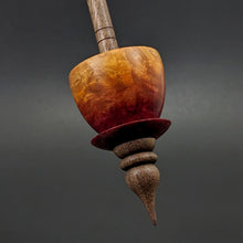 Load image into Gallery viewer, Teacup spindle in hand dyed maple burl and walnut