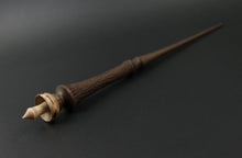 Load image into Gallery viewer, Wand spindle in walnut, mappa burl, and curly maple