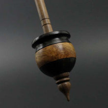 Load image into Gallery viewer, Cauldron spindle in Indian ebony, amboyna burl, and walnut
