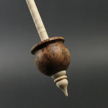 Load image into Gallery viewer, Cauldron spindle in thuya burl and curly maple