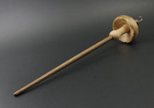 Load image into Gallery viewer, Drop spindle in maple burl, curly maple, and walnut