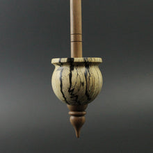 Load image into Gallery viewer, Cauldron spindle in spalted tamarind and walnut
