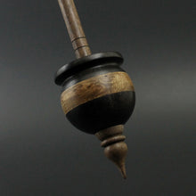 Load image into Gallery viewer, Cauldron spindle in Indian ebony, maple burl, and walnut