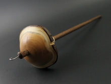 Load image into Gallery viewer, Mushroom drop spindle in yew, curly maple, and walnut