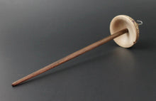 Load image into Gallery viewer, Drop spindle in curly maple, hand dyed maple burl, and walnut